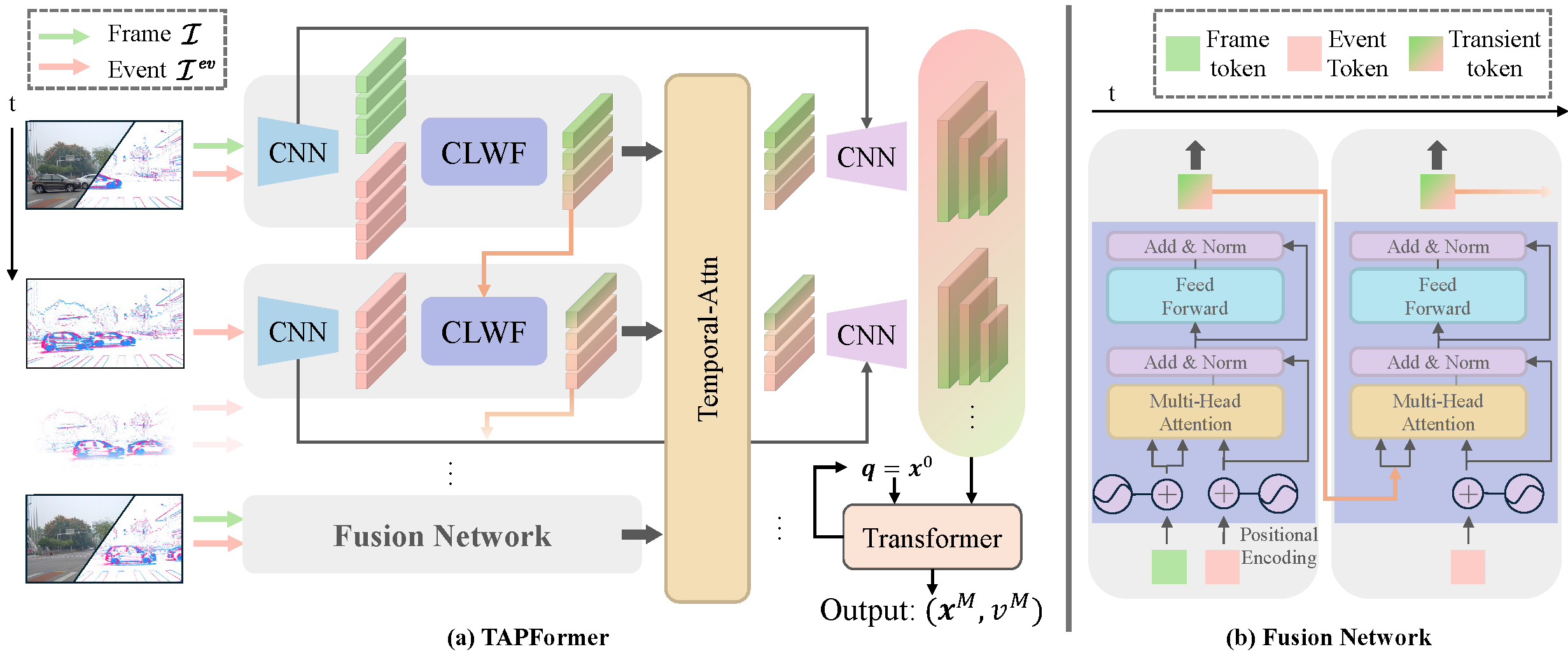 Learning from model weights